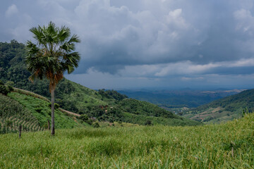 Obraz premium beautiful background images.