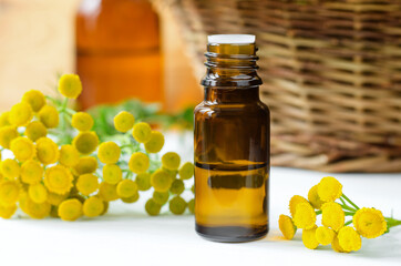 Small bottle with essential blue tansy oil (extract, tincture, infusion).  Aromatherapy, spa and herbal medicine concept. Copy space.