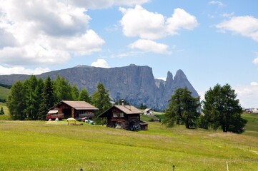 Obraz premium Seiseralm in den Dolomiten