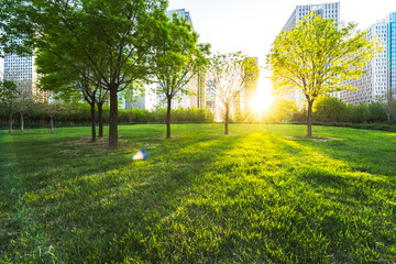 Modern urban architecture and modern urban landscape