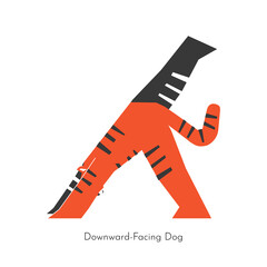Vector flat concept with animal character doing yoga. Chinese tiger learns relaxing forward bend exercise - Downward-Facing Dog with raised leg. Basic sports balancing posture for beginners