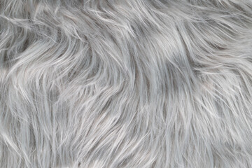gray soft hair texture