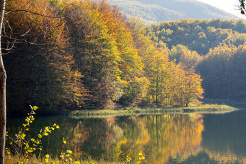 Cerreto Laghi, Emilia Romagna. Beech forest in autumn reflected in the lake water. Autumn colors
