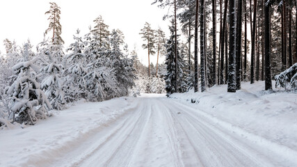 Road in winter forest