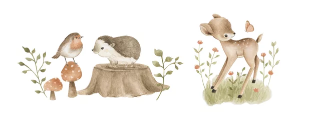Rolgordijnen Boho dieren Bosdieren aquarel bos illustratie baby illustratie