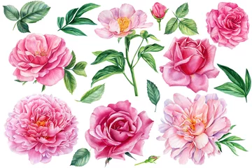 Foto op Canvas Floral summer set with leaves and flowers isolated on white background. Watercolor botanical painting Peony, rose © Hanna