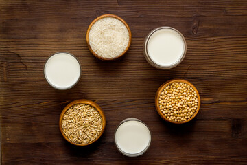 Fototapeta na wymiar Non dairy vegan milk with ingredients - almonds rice and oats