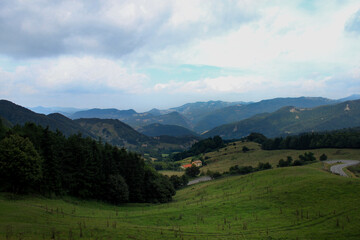 A mountain range and a green valley. A green meadow descends towards a coniferous forest. Down in the valley a farm is hidden, cows are around. A road on the right goes down to the valley.
