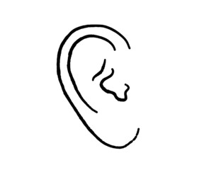 Human ear on a white background. Sketch. Vector illustration.