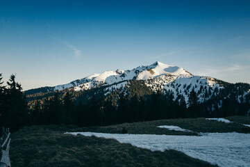 Snowy glade, snowy mountains and coniferous forest in the background