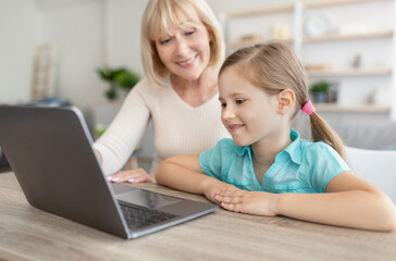 Fototapeta na wymiar Happy mature woman and granddaughter using laptop