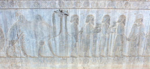 Ancient wall in Persepolis with bas-relief with Bactrian people with gifts and donations for...