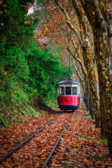 vintage tram that connects Sintra to Maças beach in the middle of an autumn landscape in Portugal.