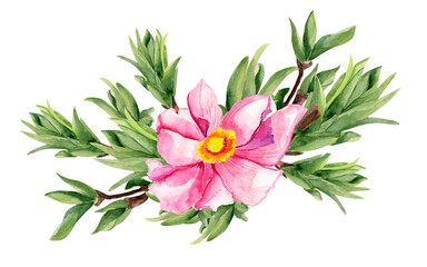 Pink flower among branches watercolor isolated illustration. Template for decorating designs and illustrations.	
