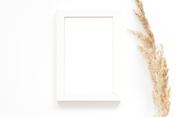 empty white photography frame with dry pampas grass