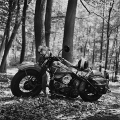 Fototapeta na wymiar Vintage motorcycle in the forest 