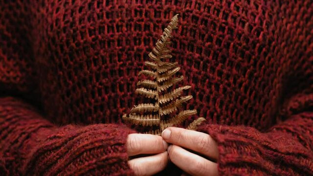 Hands holding dry fern leaf against red pullover