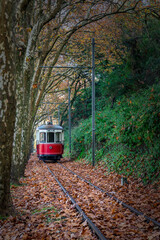 Naklejka premium Vintage tram to Macas beach from Sintra in autumn landscape. Portugal