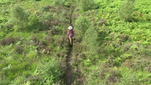 Drone shot of woman walking through nature, rear view