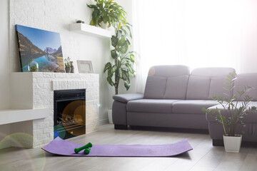 Training at home concept, interior, decorative sport in the room with gym fitness exercise purple mat, dumbbell