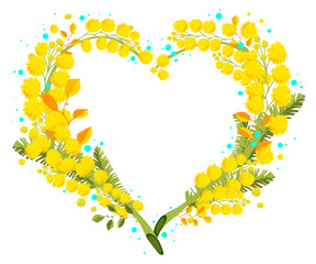 Yellow mimosa acacia heart shape symbol international womens day holiday