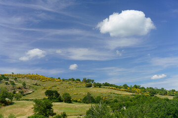 Fototapeta na wymiar Landscape in Molise near Macchiagodena and Frosolone