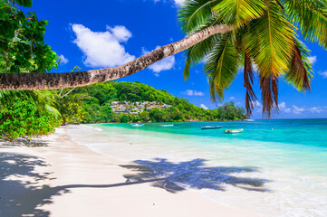 Paradise beach scenery. Exotic tropical holidays. Idyllic landscape with palm trees over turquoise sea, Seychelles