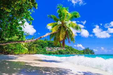Fototapeta na wymiar Paradise beach scenery. Exotic tropical holidays. Idyllic landscape with palm trees over turquoise sea, Seychelles