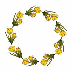 Round frame with yellow crocuses on white background. Spring flowers. Doodle style. Vector image.