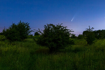 Meteor, shooting star or falling star seen in a night sky with clouds. Comet NEOWISE, C/2020 F3