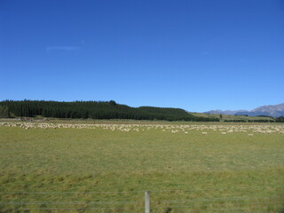 ニュージーランド、青空