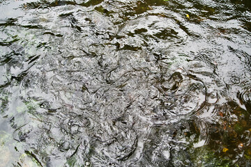 Ripples of water at rainy day.