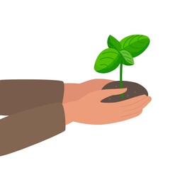 Human hands holding Green sprout growing out from soil isolated on white. Growing plant seeds with green leaves. Agriculture, ecology, environment cartoon flat vector design elements illustration.