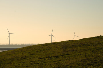 Landscape of grass field with wind turbines in the background during dawn, England, Kent
