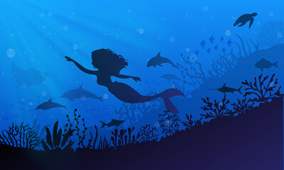 silhouette of mermaid with dolphin and reef. Mermaid underwater landscape background