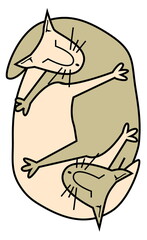 Two cats sleep kitten hugs