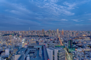 Naklejka na ściany i meble 東京都渋谷区の高層ビルから見た夜の東京の都市景観