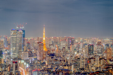 東京都渋谷区の高層ビルから見た夜の東京の都市景観