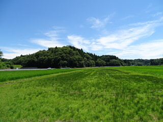 夏の農村風景