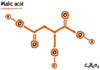 Large and detailed isolated drawn molecule and formular of Malic acid.