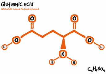 Large and detailed isolated drawn molecule and formular of Glutamic acid. - obrazy, fototapety, plakaty