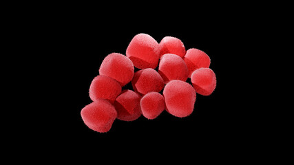 Staphylococci, a spherical shaped bacteria, Staphylococcus aureus appears as grape-like clusters. It can cause skin and bloodstream infections. 3D illustration on black background
