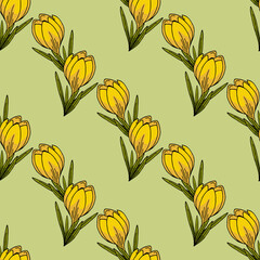 Seamless pattern with beautiful yellow crocus on light green background. Spring flowers. Doodle style. Vector image.