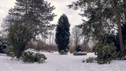 Winter landscape on the cemetery with fir trees and cloudy sky
