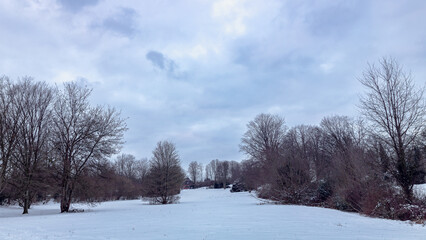 Snowy meadow in the park with bald trees and bushes and cloudy sky