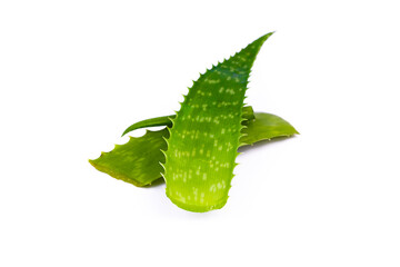Fresh aloe Vera leaves on white isolated background.
