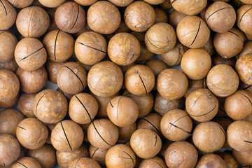 macadamia nuts with saws for splitting background backdrop