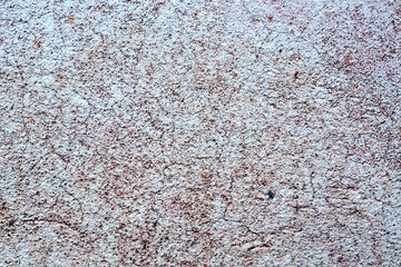 Sandstone wall texture for background, macro shot.