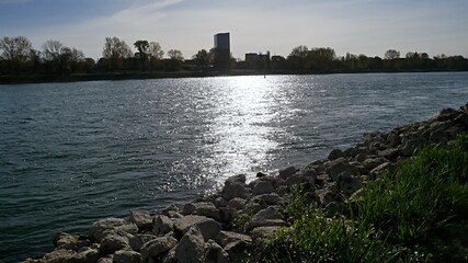 Ufer in Richtung Mannheim in Ludwigshafen am Rhein, Rheinland-Pfalz, Deutschland.