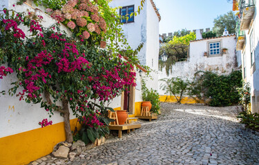 Fototapeta na wymiar Óbidos is a beautiful town full of whitewashed houses covered with bougainvillea. The west coast of Portugal